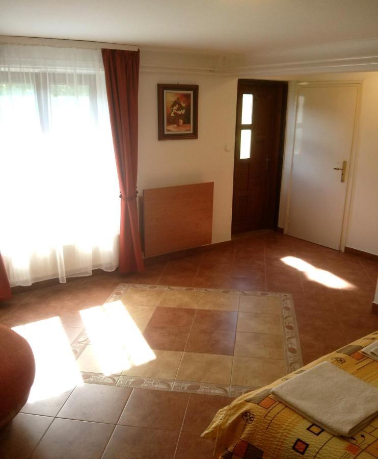 Sarreti Apartmanhaz بالاتونفوريد المظهر الخارجي الصورة